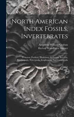 [预订]North American Index Fossils, Invertebrates: Protozoa, Porifera, Hydrozoa, Anthozoa, Bryozoa, Brachi 9781020539695