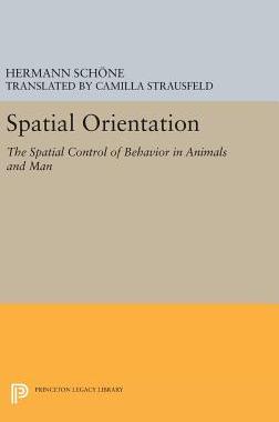 【预订】Spatial Orientation