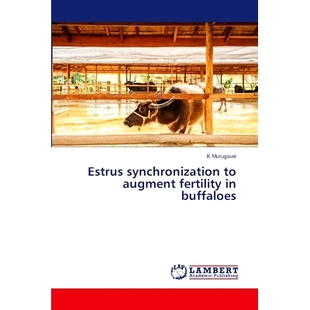 预订 Estrus synchronization to augment fertility in buffaloes: 9783659779176