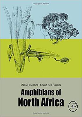 【预订】Amphibians of Northwestern Africa