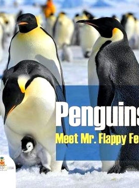 预订 Penguins - Meet Mr. Flappy Feet: 9781682128756
