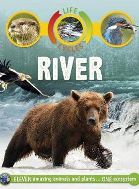 【预订】Life Cycles: River