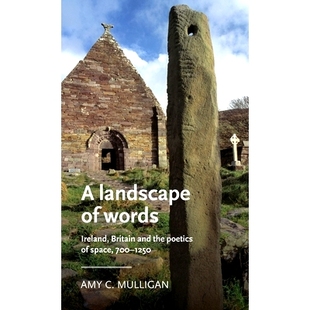 Space Ireland Words 700 9781526160751 and Britain Poetics 预订 the Landscape 1250