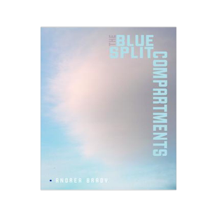 [预订]Blue Split Compartments 9780819580436