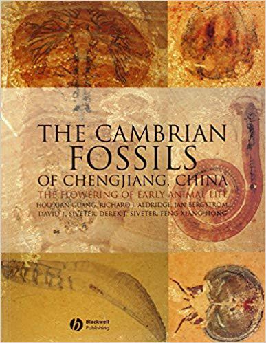 美国库房发货,通常付款后5-8周到货!