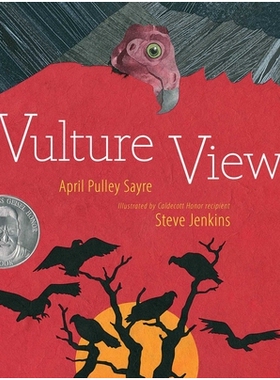 预订 Vulture View 秃鹫视角: 9781665952194