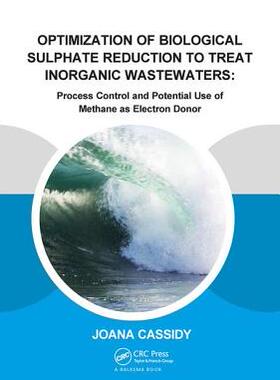 【预订】Optimization of Biological Sulphate Reduction to Treat Inorganic Wastewaters: Process Control and Potentia...