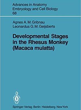【预订】Developmental Stages in the Rhesus Monkey (Macaca mulatta)