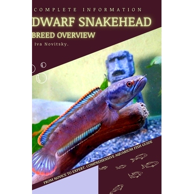 预订 Dwarf Snakehead: From Novice to Expert. Comprehensive Aquarium Fish Guide: 9798397711883