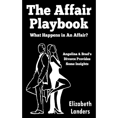 预订 The Affair Playbook: What Happens in an Affair? Angelina & Brad’s Divorce Provides Some Insights: 9780692910665