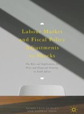 【预订】Labour Market and Fiscal Policy Adjustments to Shocks