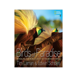 预订 Birds of Paradise: Revealing the World's Most Extraordinary Birds