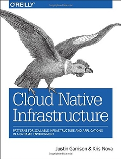 Infrastructure Native Cloud Pattern... 预订