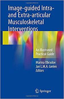 【预售】Image-guided Intra- and Extra-articu...