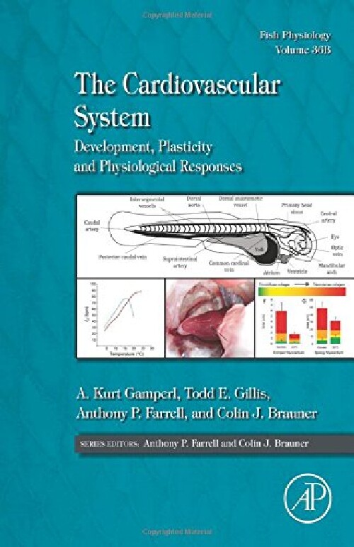 【预订】The Cardiovascular System