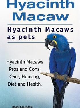 【预订】Hyacinth Macaw. Hyacinth Macaws as P...