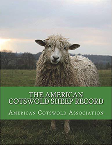 美国库房发货,通常付款后5-8周到货!