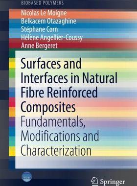 【预售】Surfaces and Interfaces in Natural F...