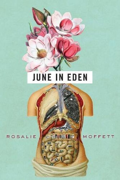 【预订】June in Eden