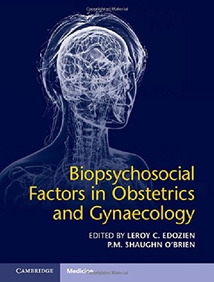 【预订】Biopsychosocial Factors in Obstetric...