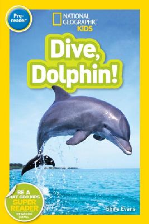 国家地理分级读物：海豚入水 英文原版 National Geographic Readers: Dive, Dolphin