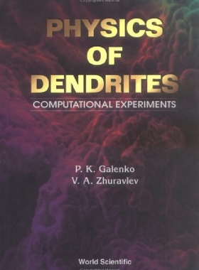 【预订】Physics of Dendrites