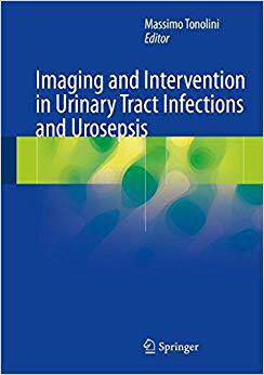 【预售】Imaging and Intervention in Urinary ...