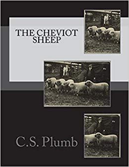 【预售】The Cheviot Sheep