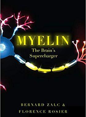 【预售】Myelin: The Brain’s Supercharger