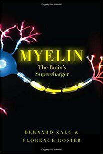 【预售】Myelin: The Brain’s Supercharger
