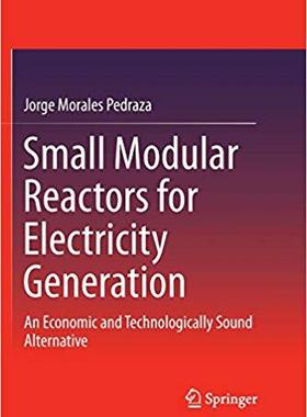 【预售】Small Modular Reactors for Electrici...
