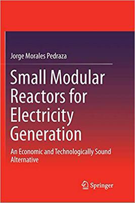 【预售】Small Modular Reactors for Electrici...