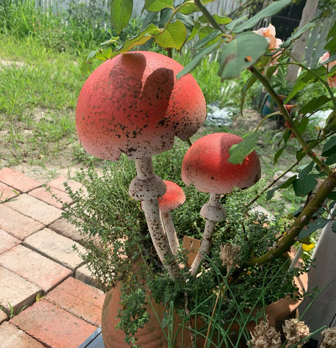 莫里斯花园 花园杂货 白杆杆红伞伞蘑菇花插