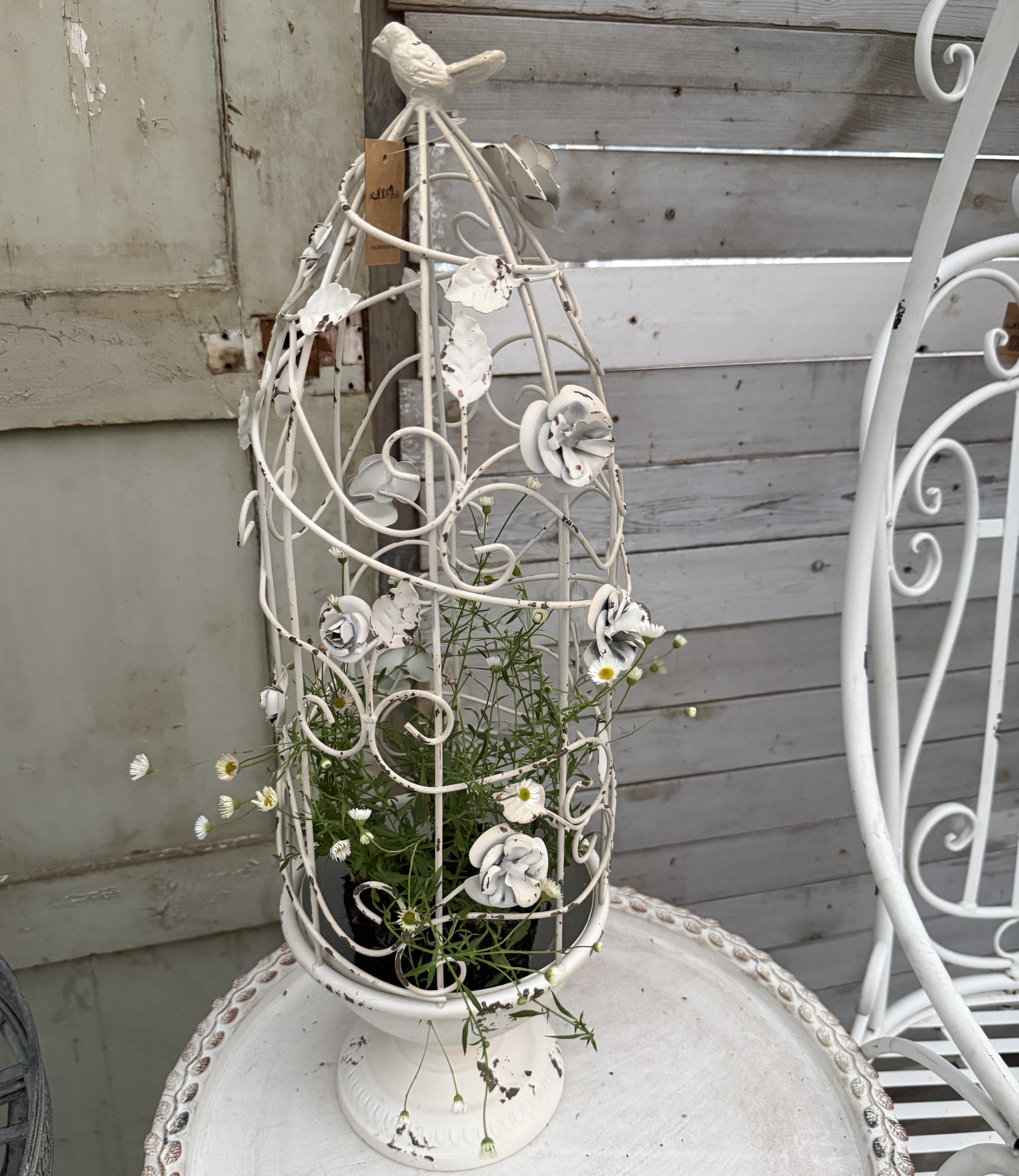 莫里斯花园 花园杂货奖杯玫瑰花鸟笼爬藤架花架花盆架鸟笼