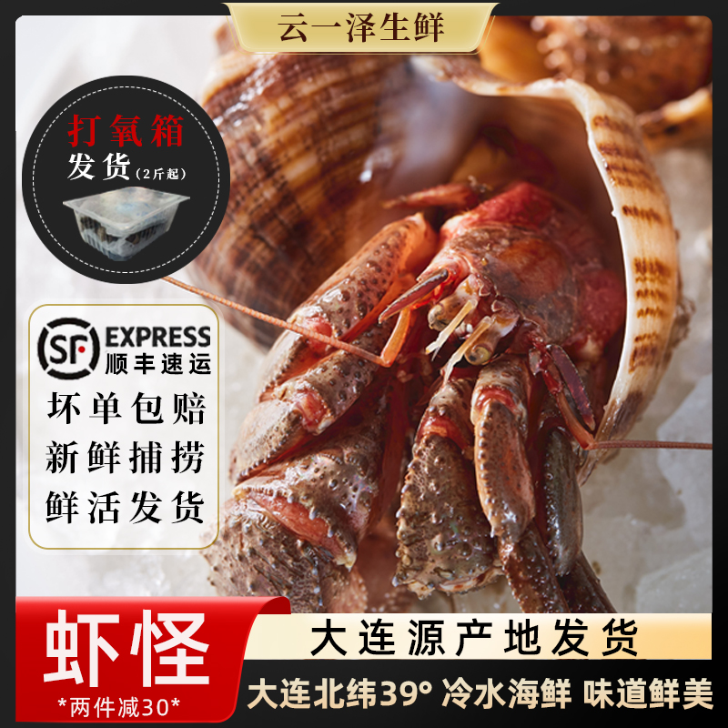虾怪鲜活食用寄居蟹非即食新鲜特大海怪大连特产螃蟹虾生海鲜水产