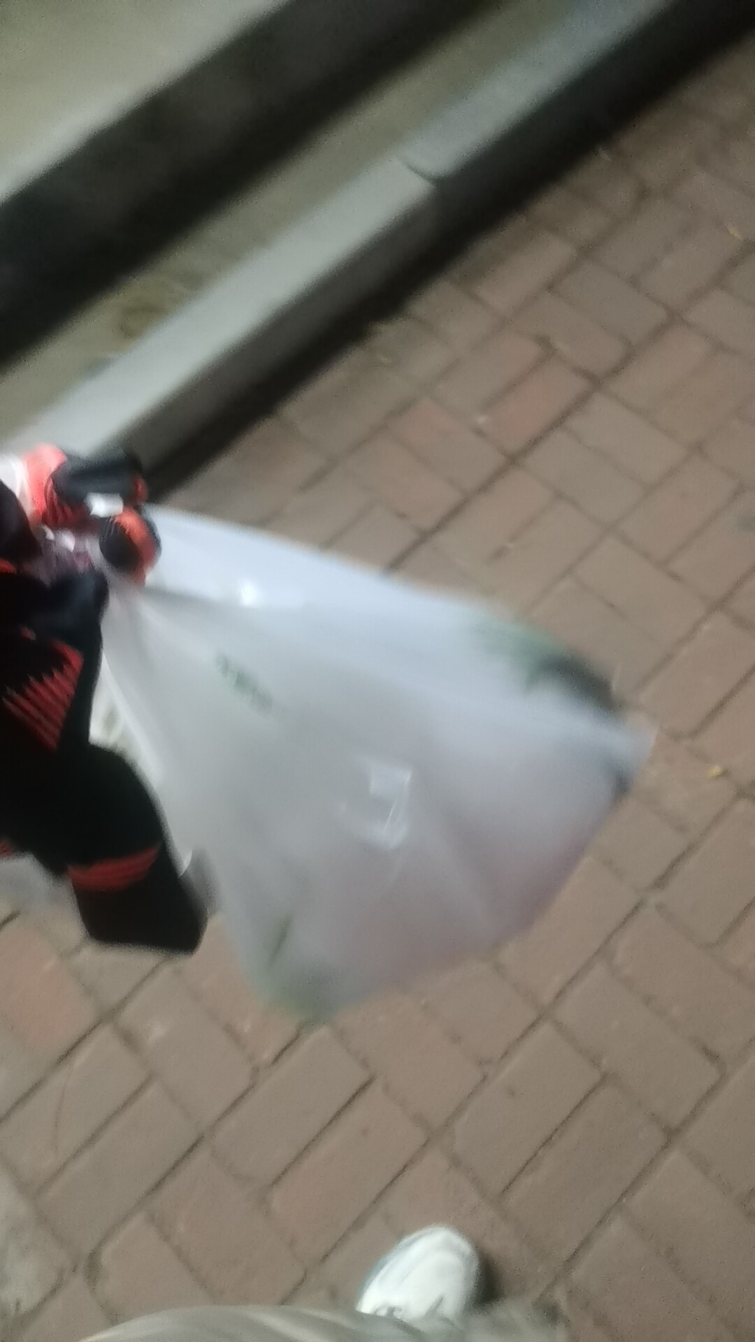 水晶虾活体观赏虾好养热带淡水宠物虾低价促销