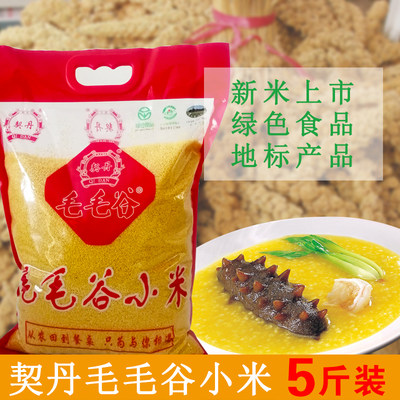 食用赤峰黄小米毛毛谷