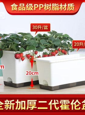 欧林泽新款阳台西瓜种植盆专用种菜盆萝卜家用霍伦盆长方形种植箱