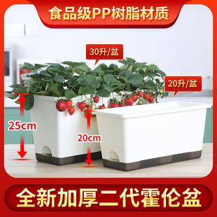 阳台西瓜种植盆专用种菜盆萝卜家用霍伦盆长方形种植箱 欧林泽新款