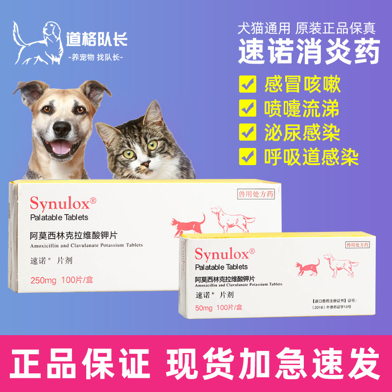 宠物速诺片,宠物速诺片说明书(第11页)_大山谷图库