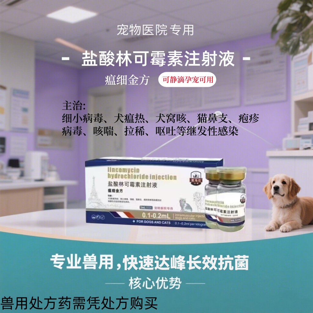 瘟细金方盐酸林可霉素犬猫抗生素消炎药产后消炎肠炎腹泻肺炎感染