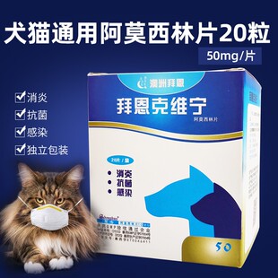 阿莫西林瑞沃特猫鼻支康滴眼液滴鼻液清洗猫咪流泪鼻涕眼角结膜炎