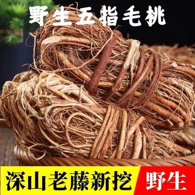 广东河源野生五指毛桃根