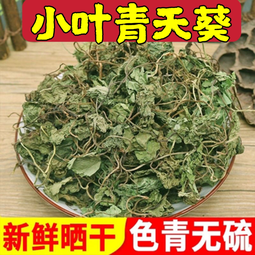 小叶青天葵无硫青绿新货中药材独脚珍珠叶半边伞坠千斤独叶莲