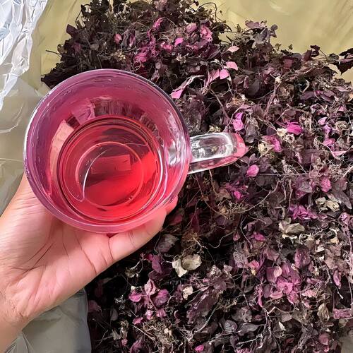 正宗红叶野生风柜斗草酸酸草干品小叶新货诸头红风鼓草福建特产
