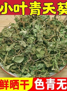 小叶青天葵无硫青绿新货中药材独脚珍珠叶半边伞坠千斤独叶莲