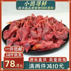 清远小麻鸡 脱毛冰冻小鸡仔冰冻鸡崽猫狗营养生骨肉冷冻 小鸡仔