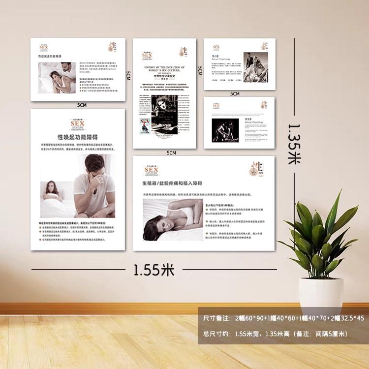 整套医美性文化科普挂画 现代养生美容院墙装饰私密整形养护壁画