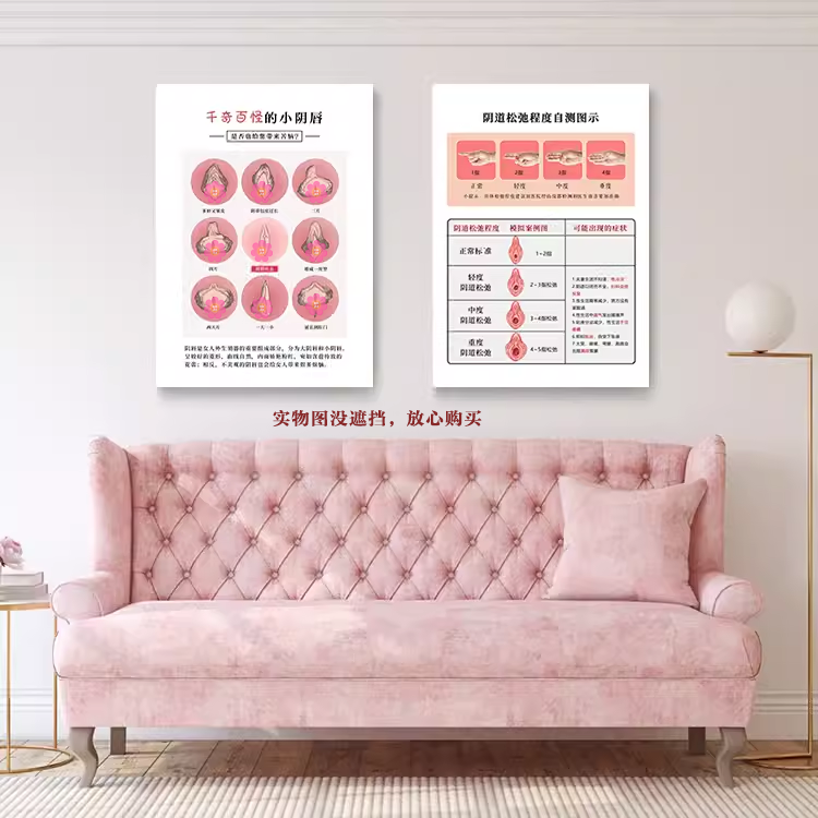 私密类型及自测广告挂画 妇产科医院生殖保养医美整形墙装饰壁画
