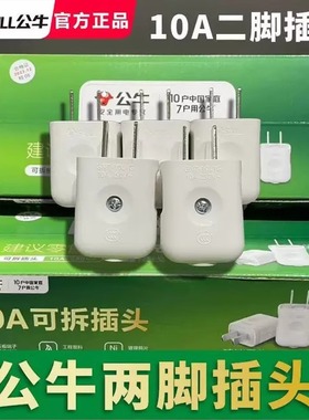 公牛10A电源纯铜国标扁二插头二脚新款单相二极2孔家用10L1G正品